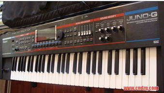 ROLAND JUNO G 97成新,送原厂琴包,ROLAND延音踏板 二手设备转让区 中国电子琴在线论坛