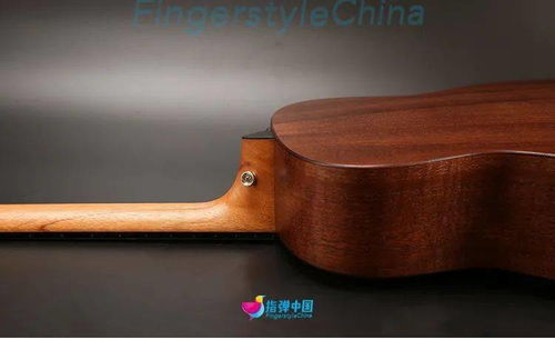 开箱 taylor这支吉他的强化琴包够硬核