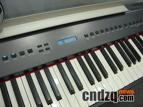 国产品牌电钢琴 键盘技术显著进步，音源性能尚需提升——附电子琴包搭配指南